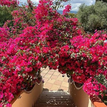 Casa Vacanze La Brii إيغليزياس المظهر الخارجي الصورة