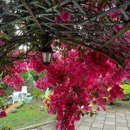 Casa Vacanze La Brii إيغليزياس المظهر الخارجي الصورة