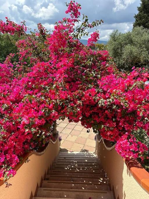 Casa Vacanze La Brii إيغليزياس المظهر الخارجي الصورة
