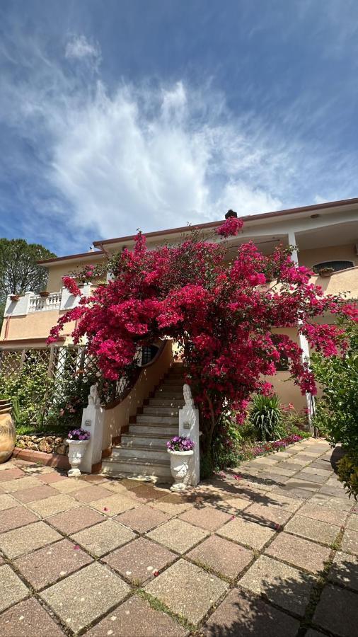 Casa Vacanze La Brii إيغليزياس المظهر الخارجي الصورة
